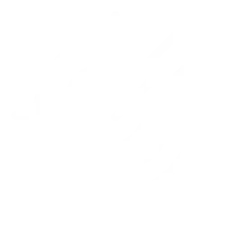 Mission Image