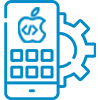 Custom iOS Application Development