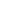 Increase Lead Icon
